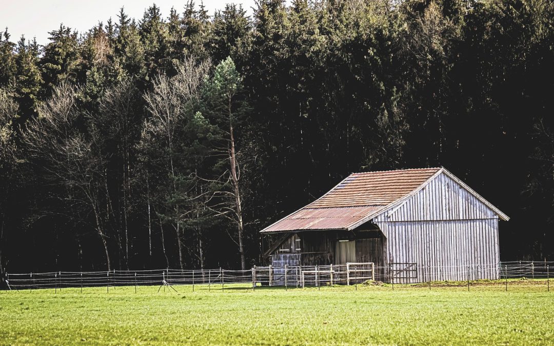 Maison bois kit : Les 8 modèles que vous pouvez acheter
