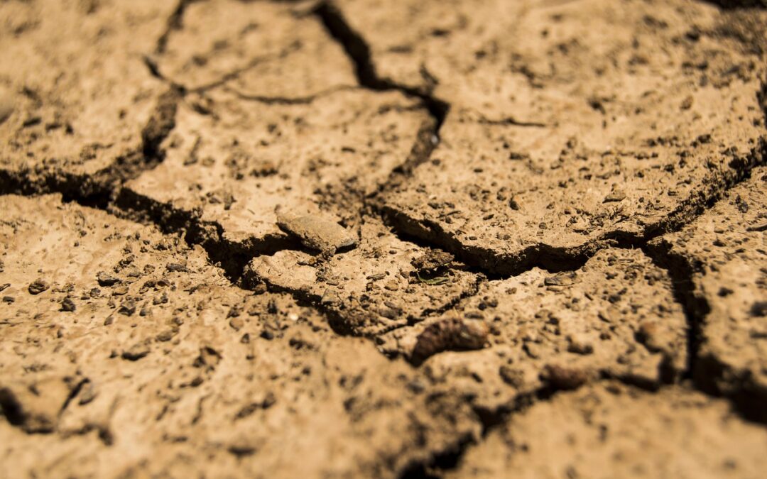 Trancheuse de sol : Comment choisir celle qu’il vous faut ?