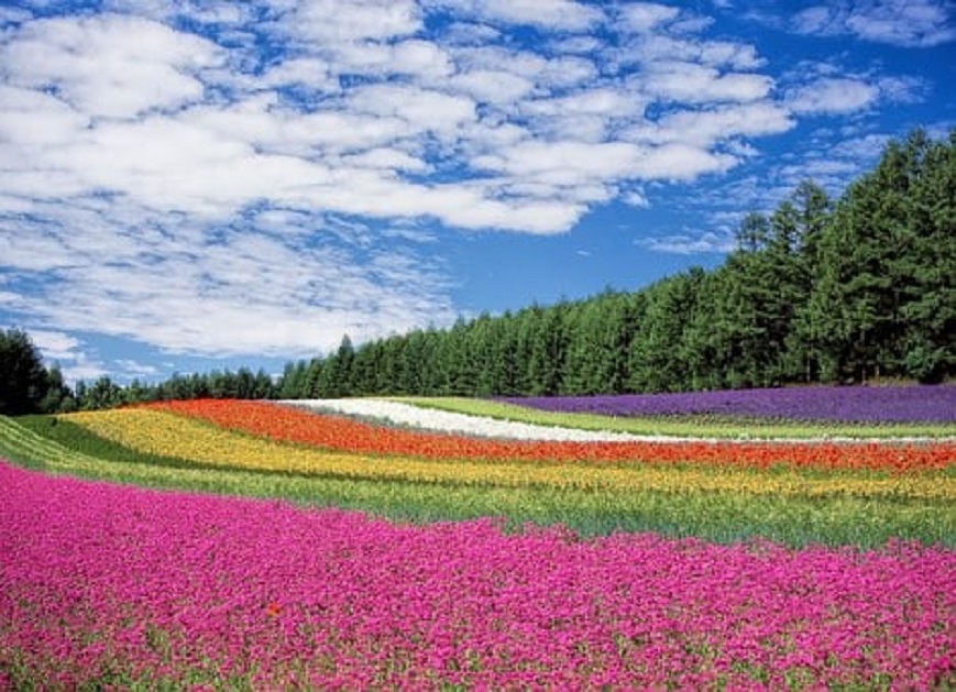 paysage