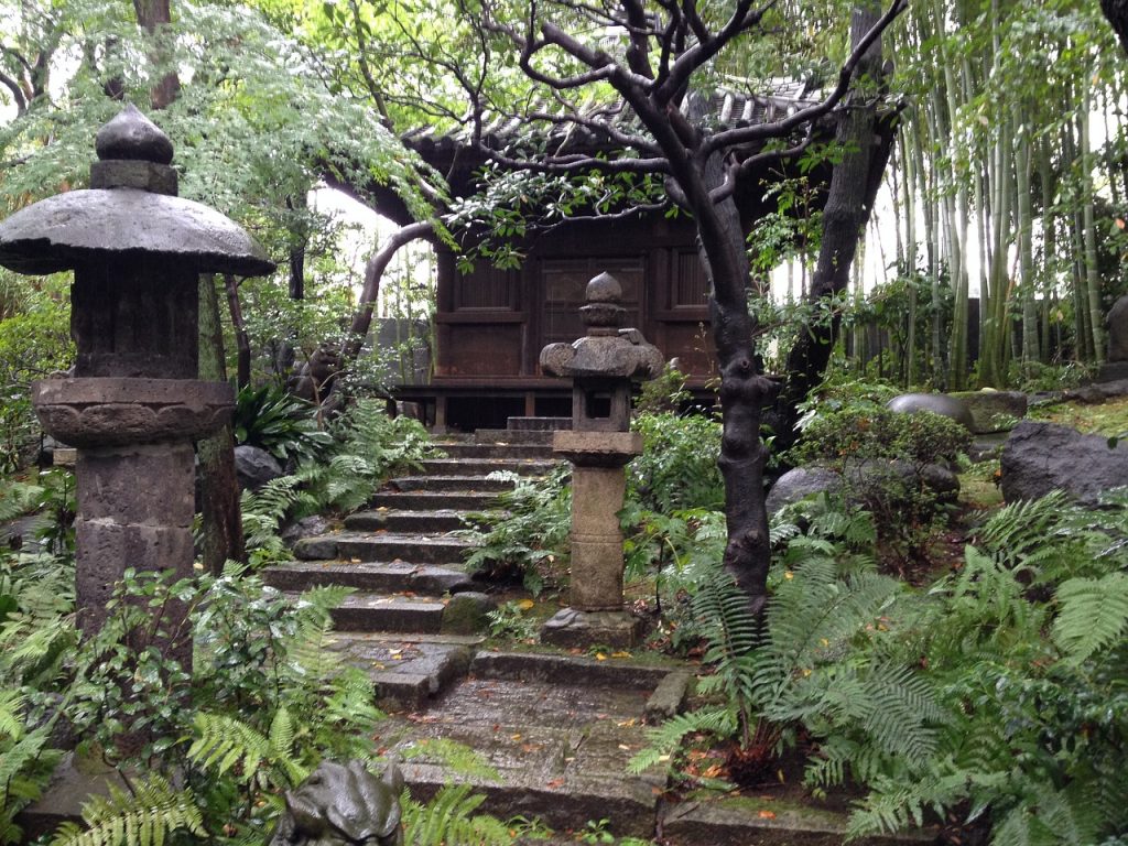 jardin