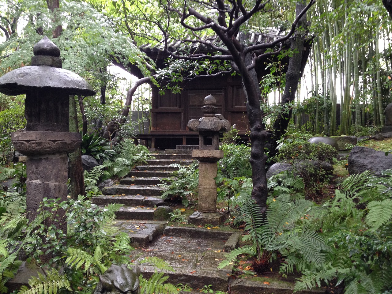 jardin