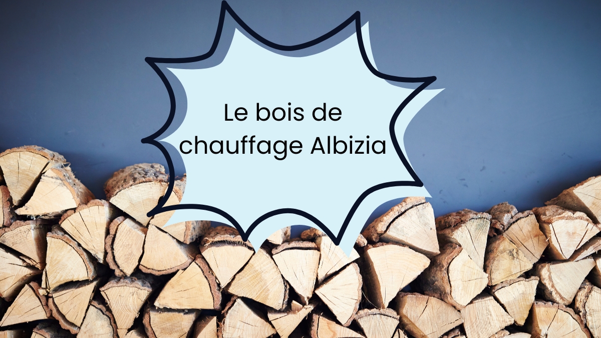 Le bois de chauffage Albizia