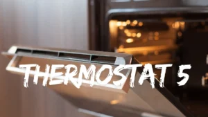 thermostat 5