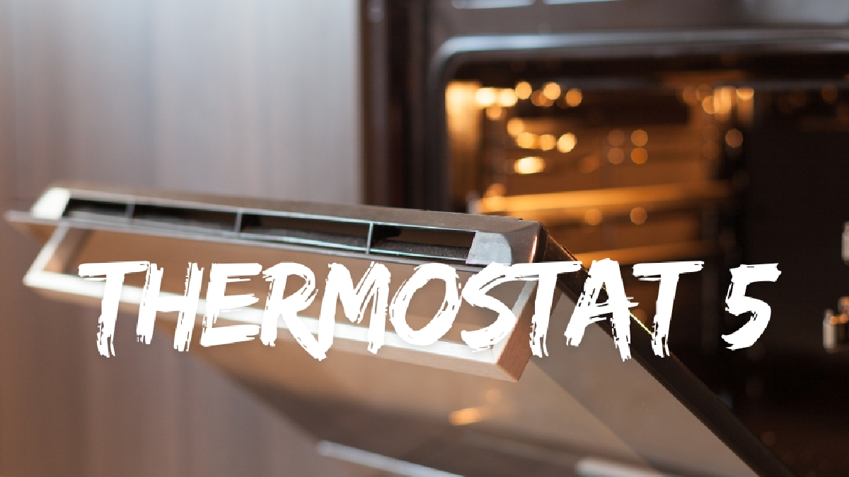 thermostat 5