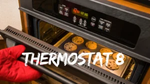 thermostat 8