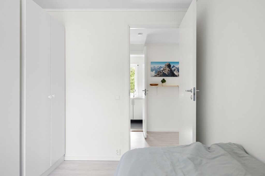 Placo et moisissures : comment éviter les problèmes d’humidité dans son logement ?