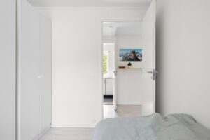 Placo et moisissures : comment éviter les problèmes d’humidité dans son logement ?