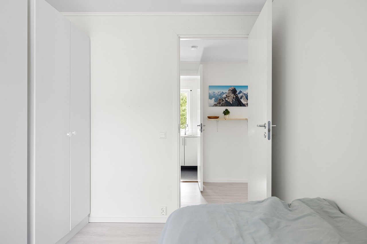 Placo et moisissures : comment éviter les problèmes d’humidité dans son logement ?