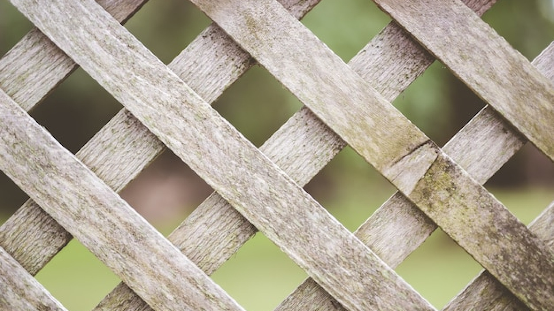 Brise-vue en bois : protéger son intimité tout en décorant son espace