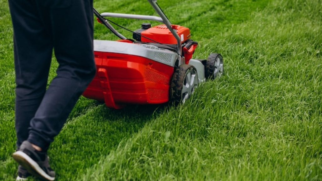 Les outils indispensables pour travailler son jardin efficacement toute l’année